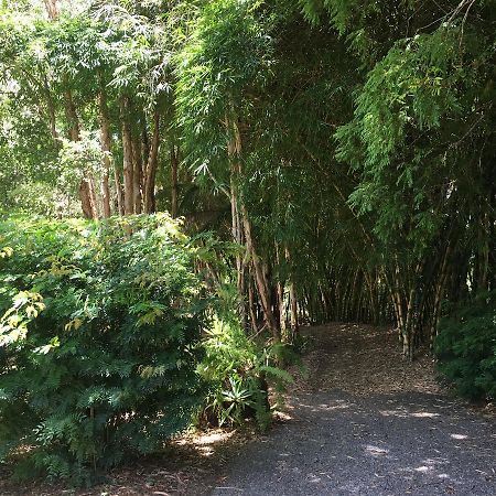 Kin Kin Cottage Retreat מראה חיצוני תמונה