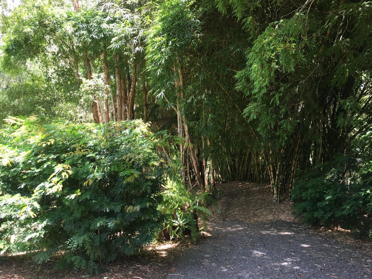 Kin Kin Cottage Retreat מראה חיצוני תמונה