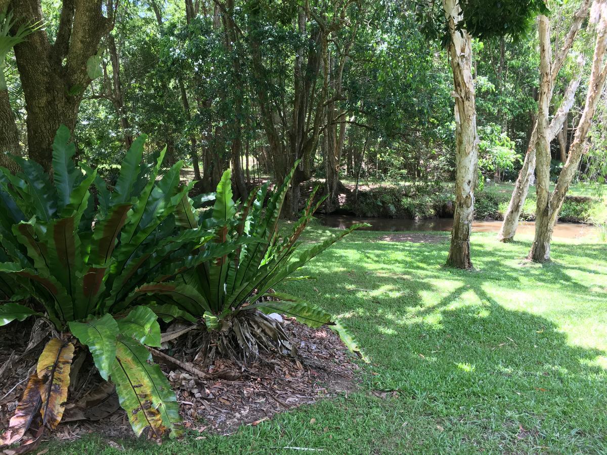 Kin Kin Cottage Retreat מראה חיצוני תמונה