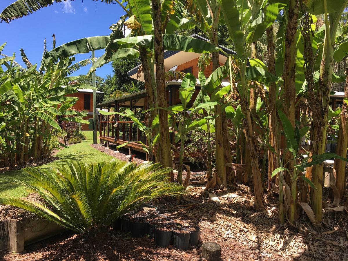 Kin Kin Cottage Retreat מראה חיצוני תמונה